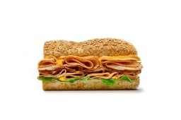 Sandwicz Subway Club