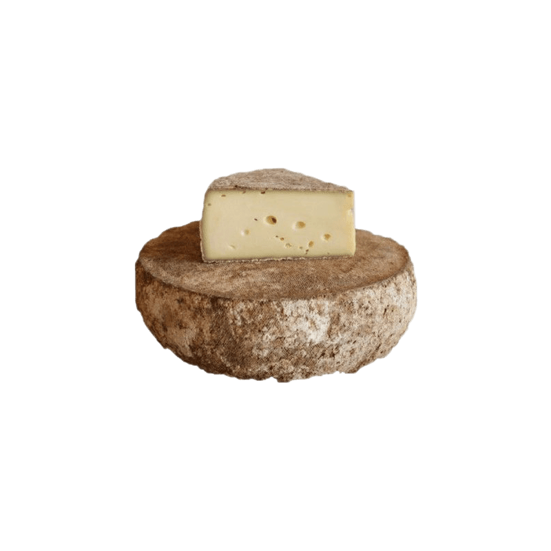 Tomme de Montagne
